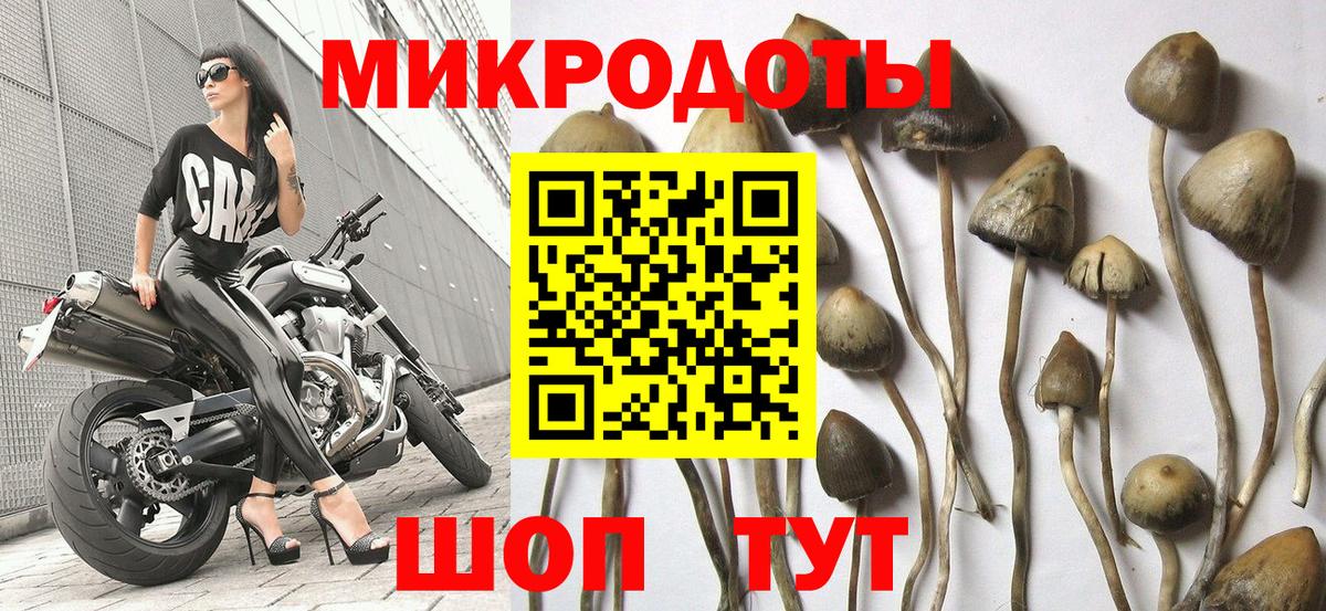 Галлюциногенные грибы Magic Shrooms Владикавказ